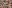 IMAGE ALT TEXT HERE